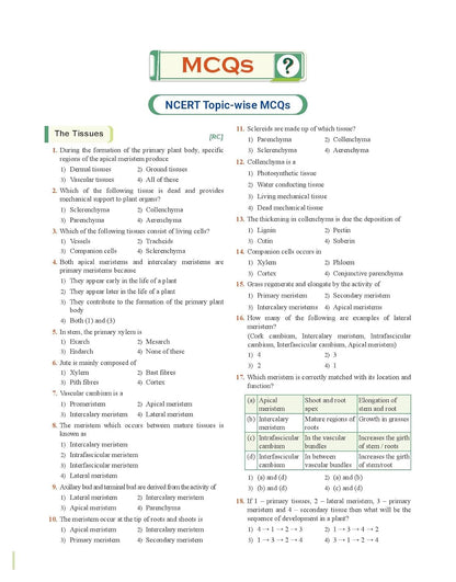 PW Objective NCERT Punch Physics, Chemistry, Biology For NEET 2025 l Updated with New Topics and Rationalised As per NMC NEET Syllabus with NEET 2024 Solved Paper