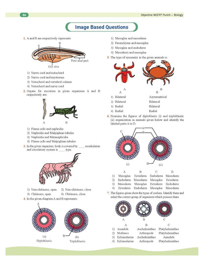 PW Objective NCERT Punch Physics, Chemistry, Biology For NEET 2025 l Updated with New Topics and Rationalised As per NMC NEET Syllabus with NEET 2024 Solved Paper