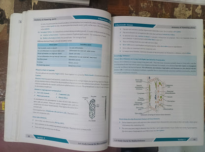 Vidya Mandir Classes