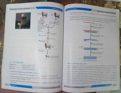 Vidya Mandir Classes